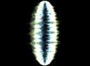 ZEN01